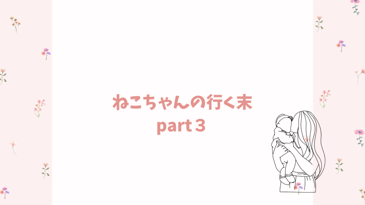 猫ちゃんの行末Part.3