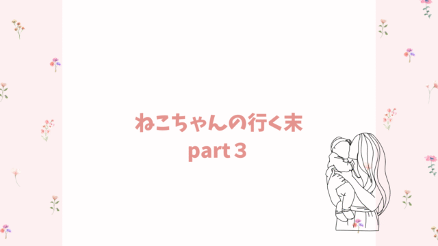 猫ちゃんの行末Part.3